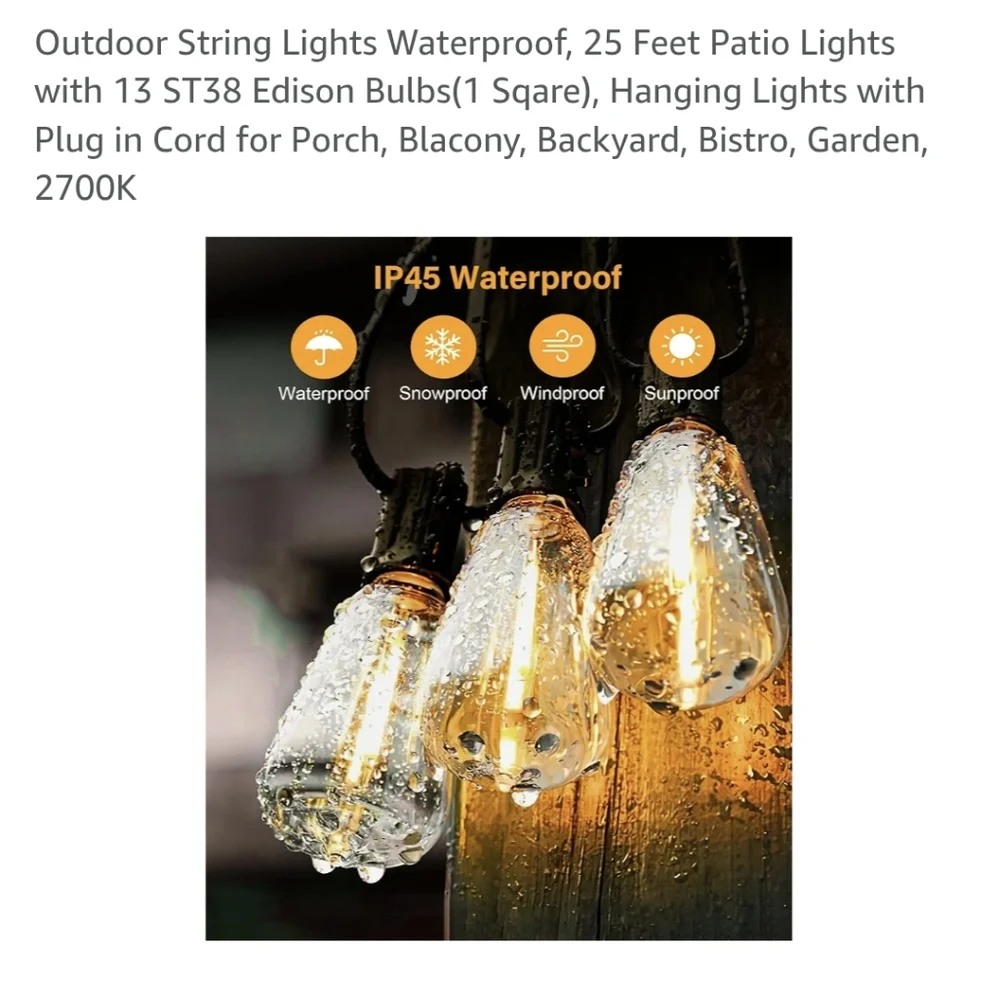 Outdoor String Lights with Black Cord 25ft
